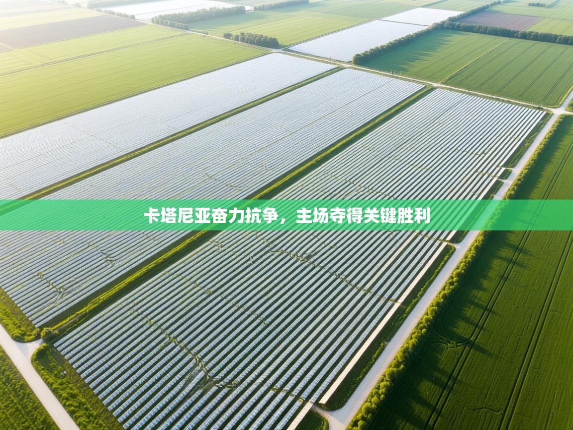 蓝鲸体育直播在线观看免费版-卡塔尼亚奋力抗争，主场夺得关键胜利  第4张