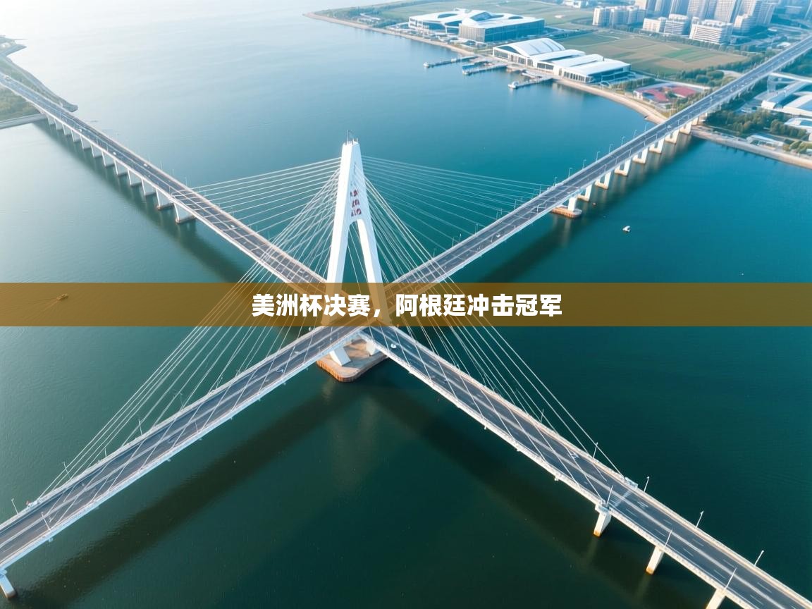 -美洲杯决赛，阿根廷冲击冠军  第1张