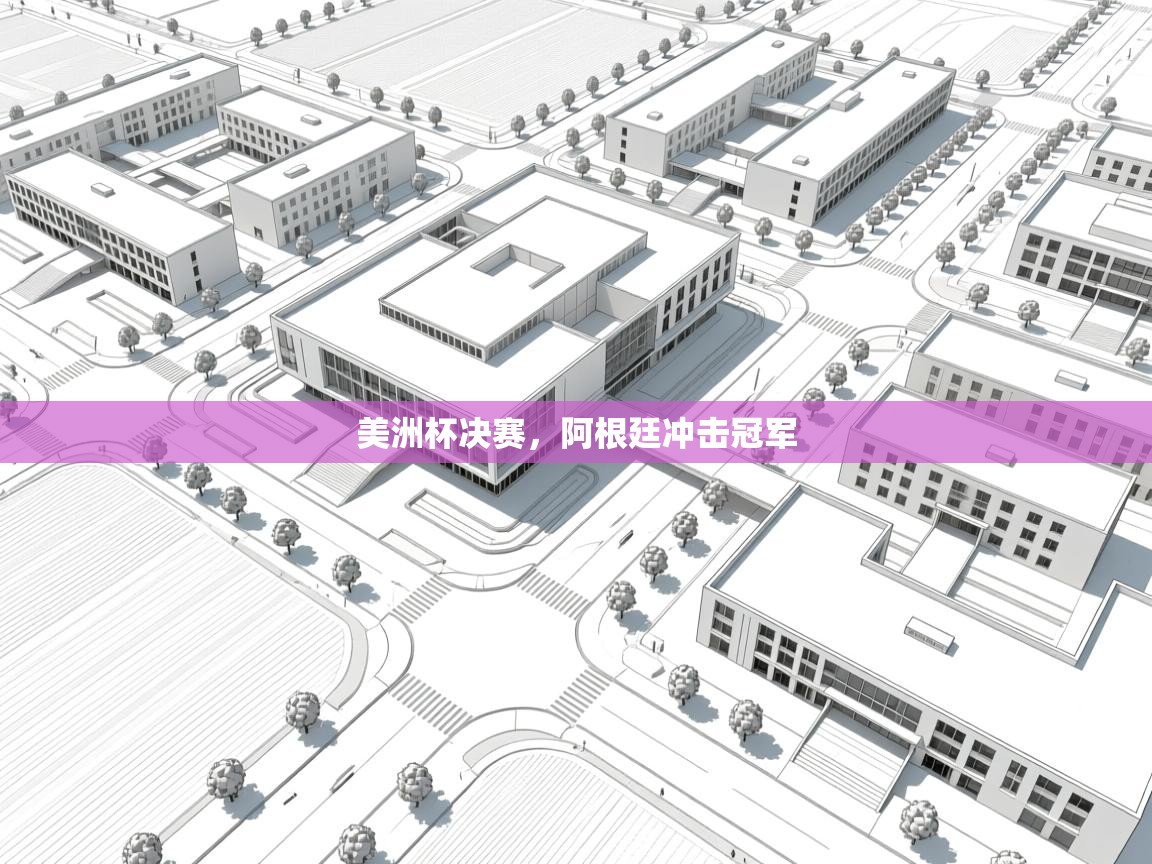 -美洲杯决赛，阿根廷冲击冠军  第2张