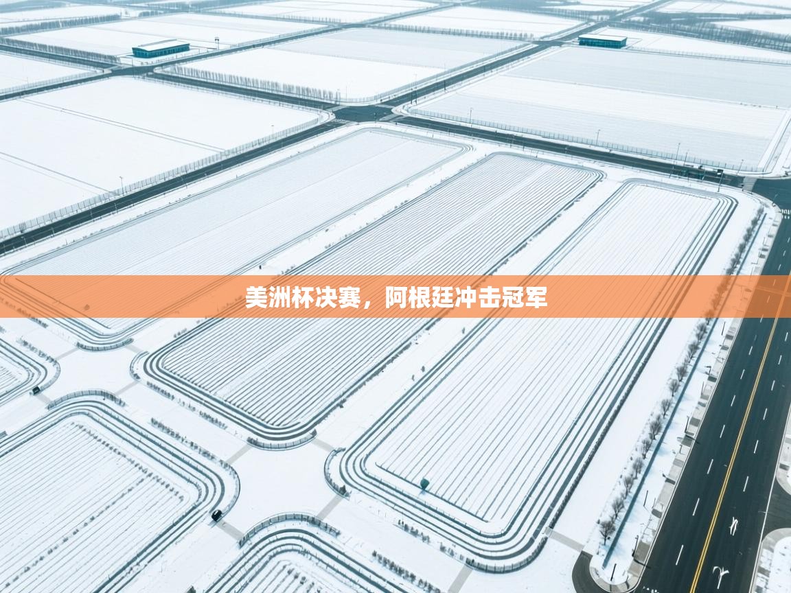 -美洲杯决赛，阿根廷冲击冠军  第3张